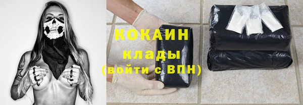 тгк Козельск