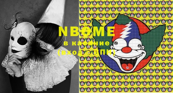 ПСИЛОЦИБИНОВЫЕ ГРИБЫ Козловка