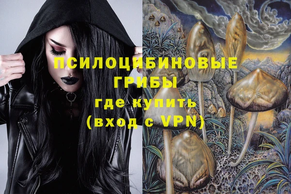тгк Козельск