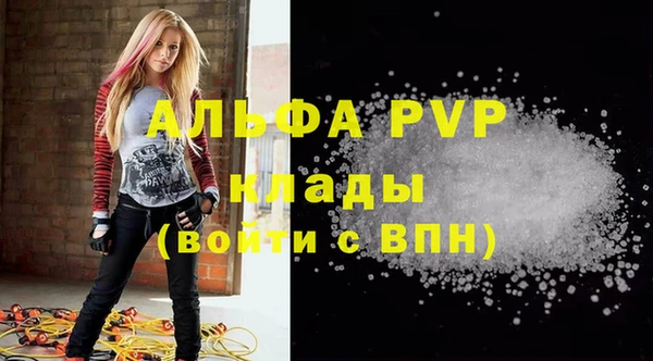 ПСИЛОЦИБИНОВЫЕ ГРИБЫ Козловка