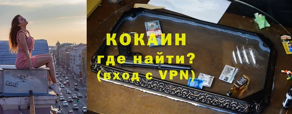 ПСИЛОЦИБИНОВЫЕ ГРИБЫ Козловка